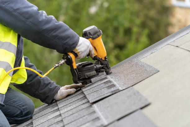 Best Sheet Metal Roofing  in Burnsville, MN