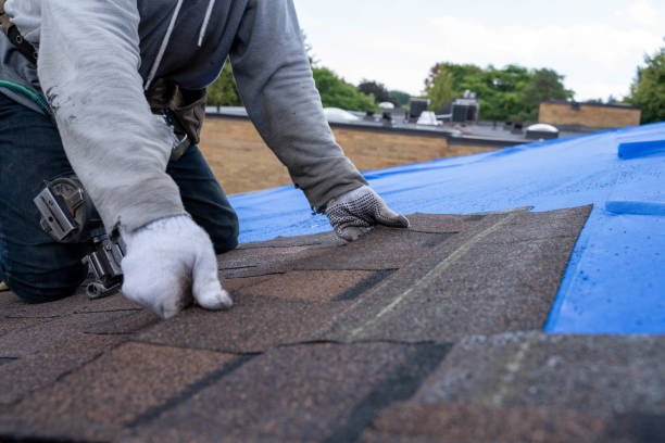 Best Roof Leak Repair  in Burnsville, MN